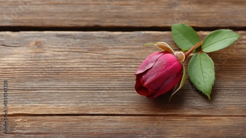 Beautiful fresh pink rosebud lying on a rustic wooden surface, symbolizing love, romance, and natural beauty in an elegant and serene setting