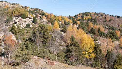 autumn in the mountains