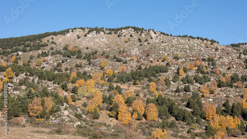 autumn in the mountains