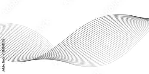 gray and white wavy curve line with digital future technology concept background. Line art striped graphic template, banner background. Vector illustration.