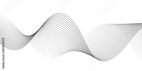 gray and white wavy curve line with digital future technology concept background. Line art striped graphic template, banner background. Vector illustration.