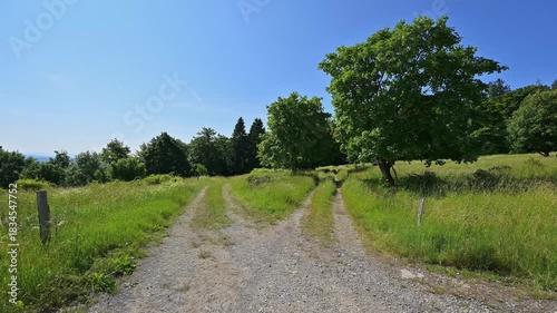 Weggabelung ein Schotterweg teilt sich in einem grünen, ländlichen Gebiet unter einem blauen Himmel, Sommer, Fladungen, Hohe Rhön, Rhön, Rhön Grabfeld, Bayern, Deutschland, Europa