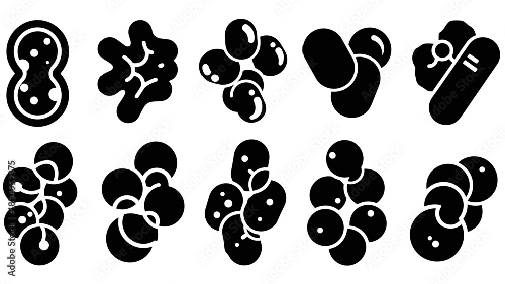 Fototapeta premium Collection of black glyph icons representing bacteria, microbes, and cells in various shapes and clusters for scientific or medical concepts