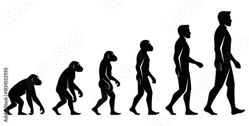 Human evolution silhouette chart showing progressive stages from an ape-like primate ancestor to an upright modern man in a conceptual graphic illustration