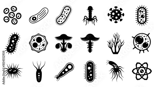 Set of black microbe and virus icons showing various bacteria, germs, pathogens, and microscopic organisms in a simple graphic silhouette style for science and biology concepts
