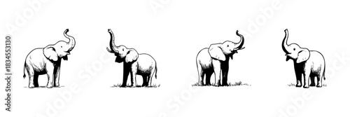 Elephant Doodle Sketch Set. Wildlife And Nature Conservation In Hand Drawn Style Collection. African And Asian Elephant Illustrations. Isolated Vector Illustration
