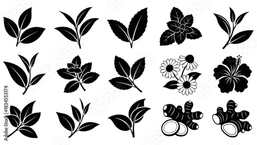 Collection of black silhouette icons of tea ingredients including leaves, mint, chamomile, hibiscus, and ginger root in a flat vector graphic style for botanical or food design