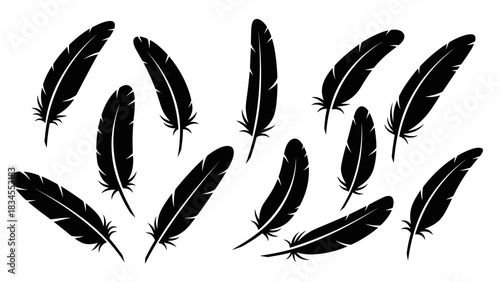 Collection of black bird feather silhouettes arranged in a scattered pattern, showcasing a simple, graphic, and minimalist vector illustration style for symbolic design concepts