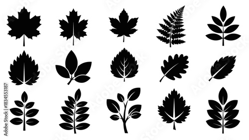 Collection of black leaf silhouettes featuring various tree and plant species like maple, oak, and fern, presented as a graphic icon set for botanical and nature themes