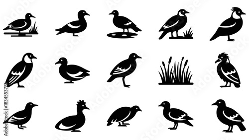 Collection of black bird icons featuring various waterfowl and game birds in a minimalist silhouette style, including ducks, geese, quail, and reeds for graphic design elements