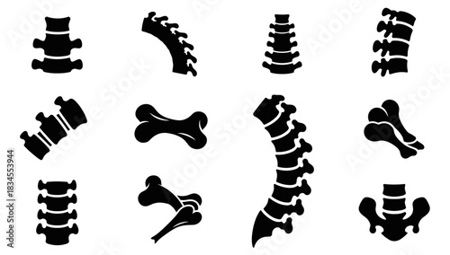 Set of black human bone and spine icons showing vertebrae, pelvis, and skeletal system parts in a minimalist glyph style for medical or orthopedic concepts