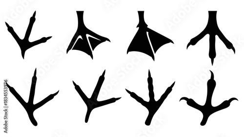Collection of black bird footprint silhouettes showing different types of animal tracks, including webbed feet and sharp talons, in a clean graphic illustration style