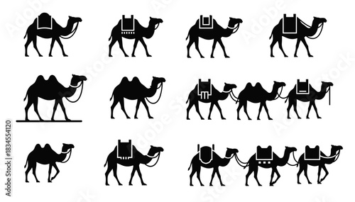 Black camel silhouette icon set featuring one and two-humped dromedary and Bactrian animals with saddles, walking alone or in a caravan line for desert transportation