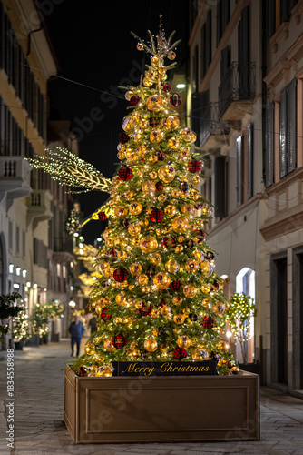 Merry Christmas - Christmas tree