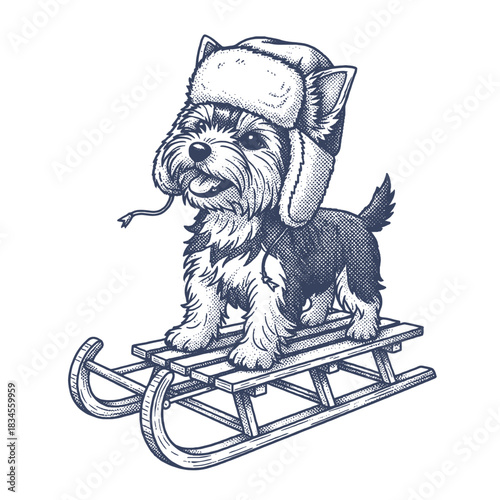 Yorkshire terrier puppy wearing a winter hat on a sled vintage halftone illustration