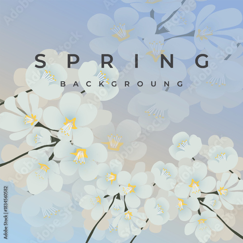 spring tree with flowers  ,wight flowers spring background