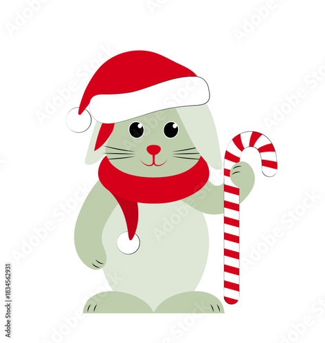 bunny with cap and scarf and christmas stick isolated on white background