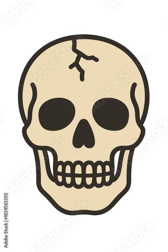 A fractured human skull symbolizing death and the grim in a vivid illustration