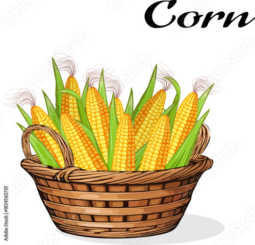 Colorful banner with corn cobs in a wicker basket.Vector illustration of a colored banner with corn in a wicker basket on a transparent background with text.