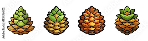 Illustration of pine cones fir cones cedar cones spruce cones nature forest plants set of four cones