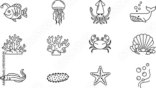 Sea Life Creatures Line Art Illustration Set
