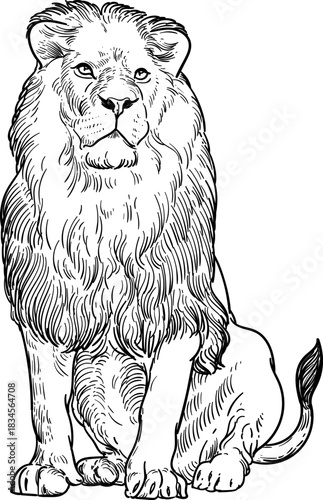 Vintage hand drawn sketch of sit lion