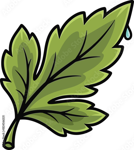 Green leaf water droplet vector nature plant icon illustration isolated on transparent background, Vector