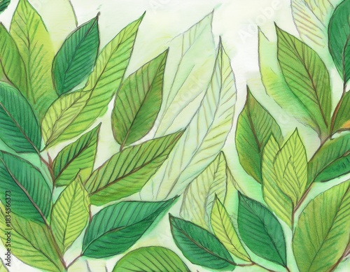 abstract hand drawn green forest pencil artwork of leafs watercolor natural background natural backdrop on paper painted high quality