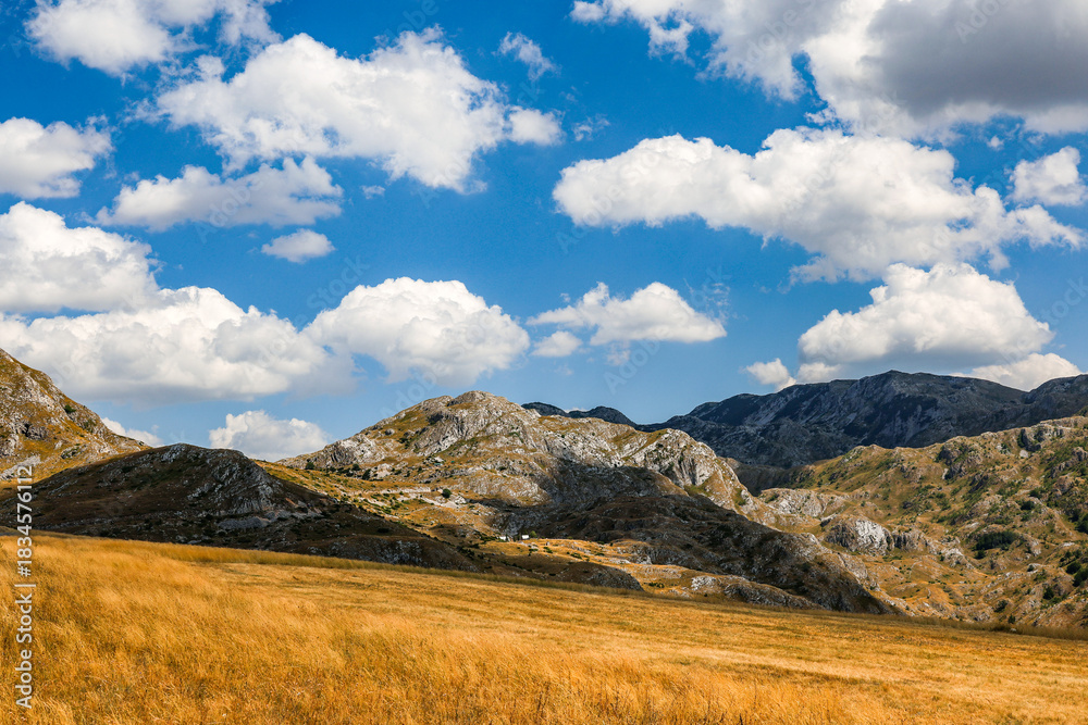 Obraz premium Scenic summer landscape of Durmitor National Park in Montenegro, Europe 