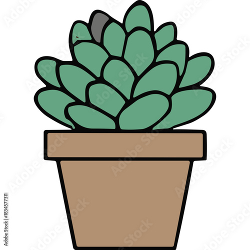 A Minimalist Illustration of a Green Succulent Plant in a Brown Terracotta Pot Against a Stark Black Background Perfect for Digital or Print Design Projects