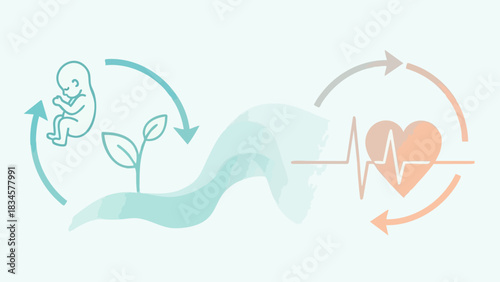 Conceptual illustration of the life cycle, from fetal development and growth to cardiovascular health.