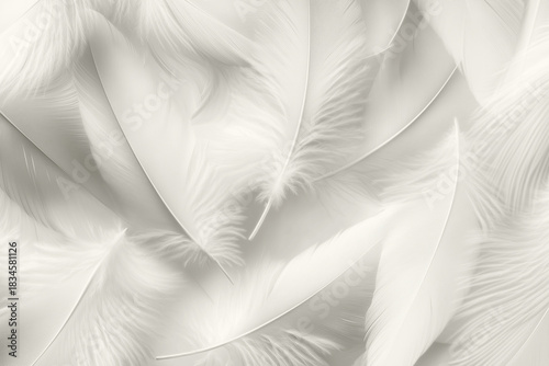 Close-up soft white feathers. Minimalist airy texture in Cloud Dancer color trend 2026. Light neutral background for modern design, branding, packaging, posters, mockups, calm still life nature