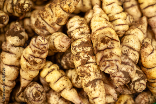 Andean cubios in horizontal close-up