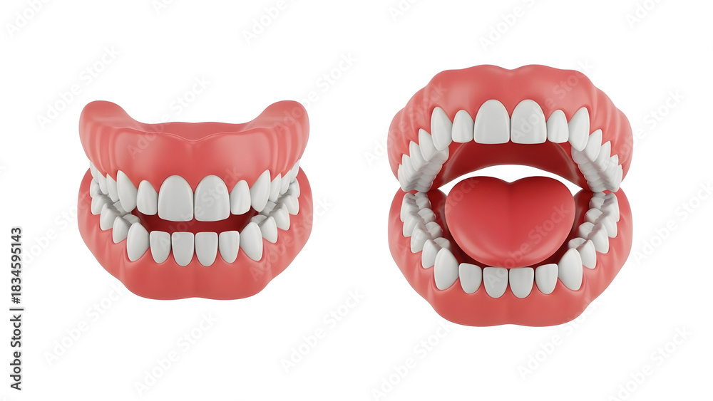 Naklejka premium This captivating image showcases a set of dentures, perfect for dental clinics and educational materials, highlighting oral health and restoration needs.