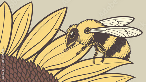 Bumblebee with black stripes perched on a large sunflower with yellow petals in a close up view scene