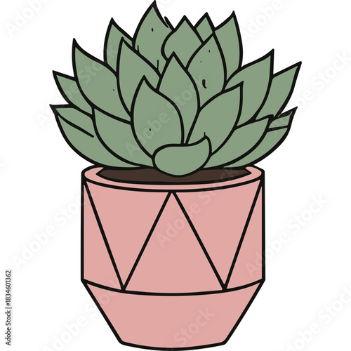 A Succulent Plant in a Geometric Pink Pot With Green Leaves and a Brown Soil Base Against a Black Background With Hand Drawn Style