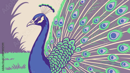 Illustration of a peacock with its tail feathers fanned out in a garden scene with trees behind it