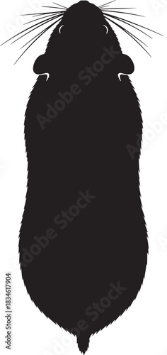 Black rodent top view silhouette with whiskers and tail tip