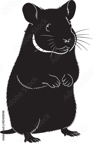 Chinchilla standing upright, detailed silhouette vector art