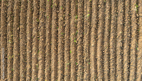 Foto Vertical Lines Of A Plowed Field Filling The Frame Seen From Above Symbolizing T