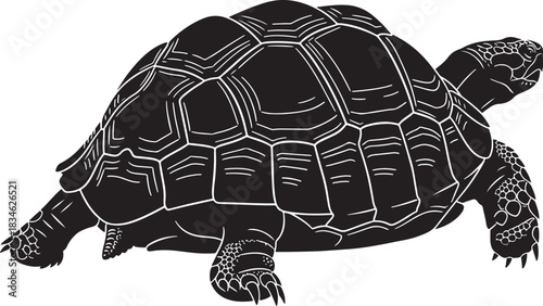 Stylized black and white vector silhouette illustration of a tortoise, highlighting its detailed shell pattern and sturdy form.