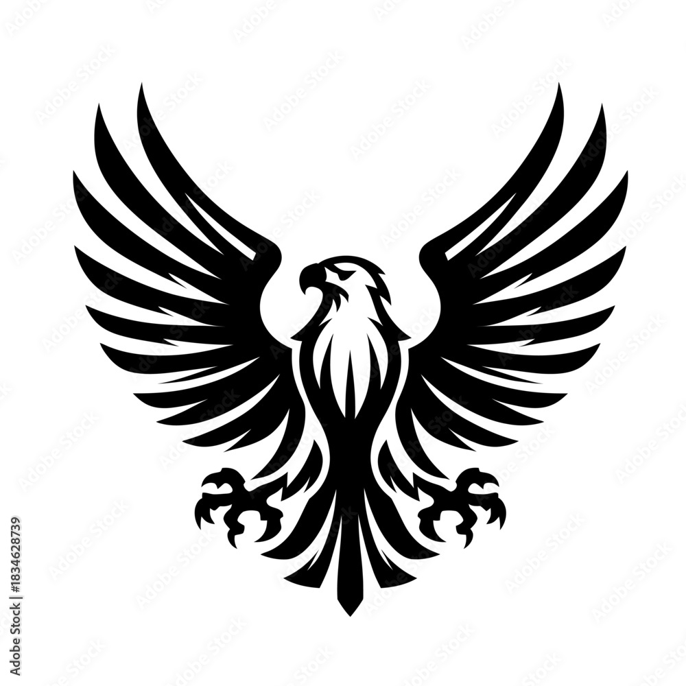 Obraz premium Flying Screaming eagle full b...