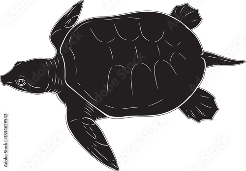 Black silhouette of a swimming sea turtle, marine animal vector illustration with detailed shell pattern and flippers