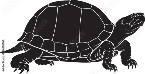 Black silhouette of a turtle, side view, on an assumed white background, featuring its detailed shell, head, and limbs.