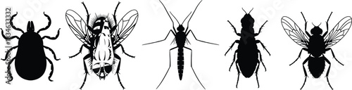 Vector illustration silhouettes of disease-carrying pests like tick, house fly, mosquito, and other biting insects, representing health, hygiene, pest control, danger, and infectious pathogens concept