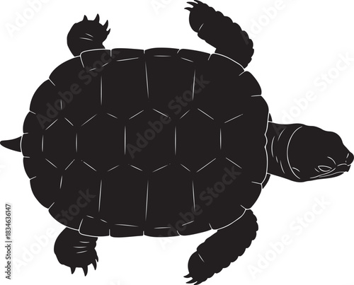 Detailed top-down view silhouette of a sea turtle or tortoise with patterned shell and visible limbs isolated