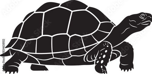 Tortoise or turtle outline vector graphic illustration. side view of a slow reptile with a patterned shell.