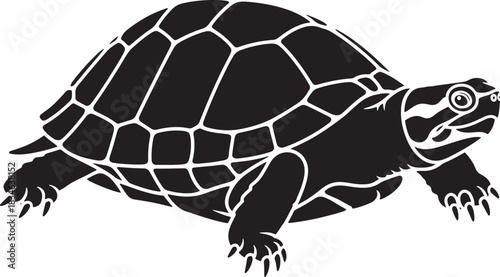 Detailed black turtle silhouette isolated on white background, showcasing intricate shell patterns and reptilian form.