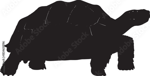 Giant tortoise animal silhouette isolated side view, wildlife reptilian graphic design element, perfect for projects.