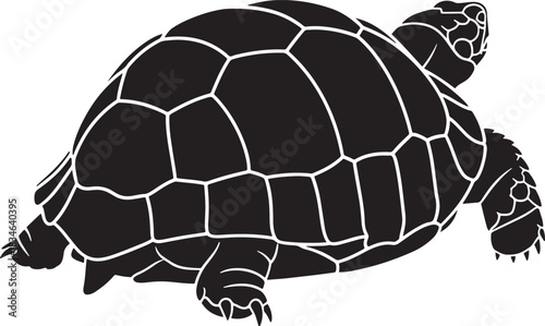 Stylized marine turtle silhouette with intricate shell patterns, vector illustration for wildlife and nature themes.